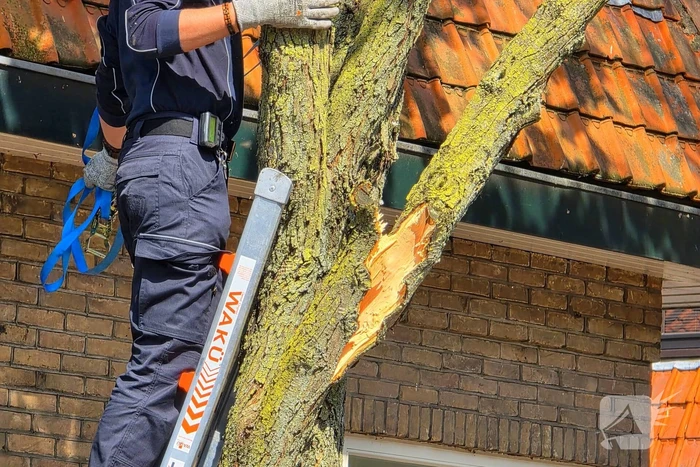 Verhuiswagen raakt tak, brandweer opgeroepen