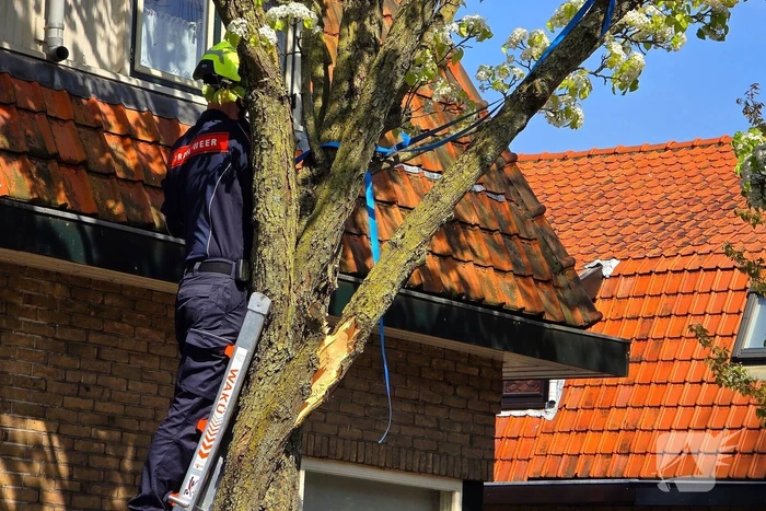 Verhuiswagen raakt tak, brandweer opgeroepen