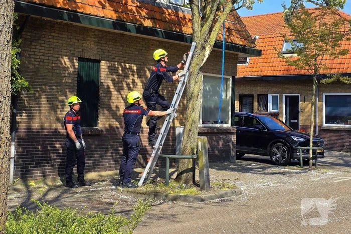 Verhuiswagen raakt tak, brandweer opgeroepen