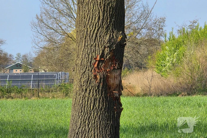 Slachtoffer ernstig ongeluk overleden