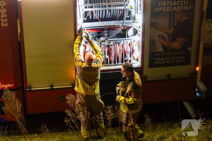 Brand ontstaan in boomstronk