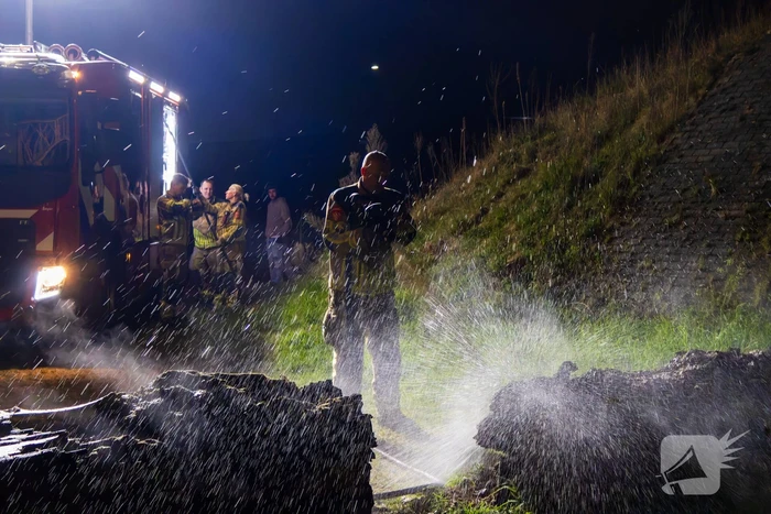 Brand ontstaan in boomstronk