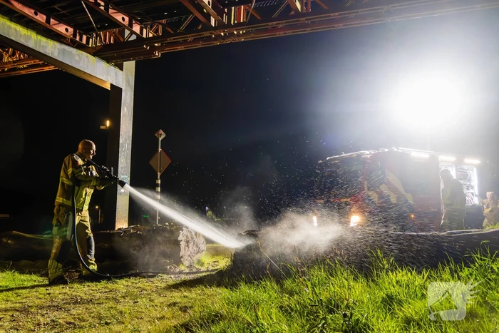 Brand ontstaan in boomstronk