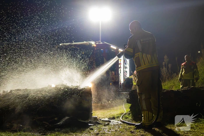 Brand ontstaan in boomstronk