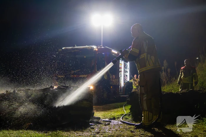 Brand ontstaan in boomstronk