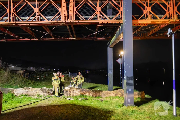 Brand ontstaan in boomstronk