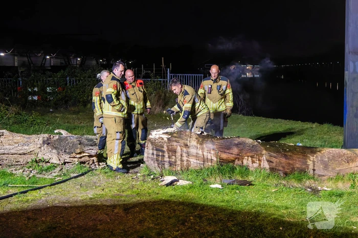 Brand ontstaan in boomstronk