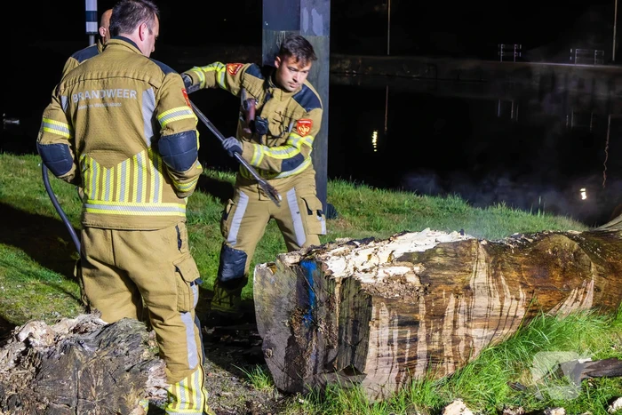 Brand ontstaan in boomstronk