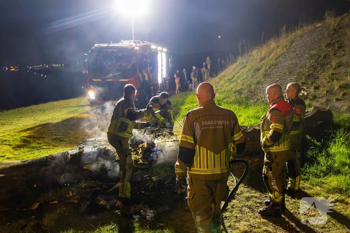 Brand ontstaan in boomstronk