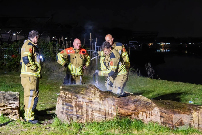 Brand ontstaan in boomstronk