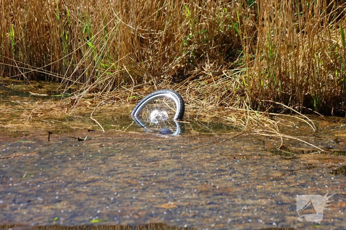 Automobilist bedenkt zich geen moment en springt water in als oudere te water raakt