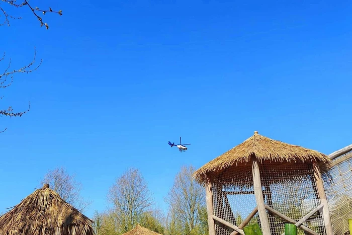 Politiehelikopter landt voor incident in dierentuin