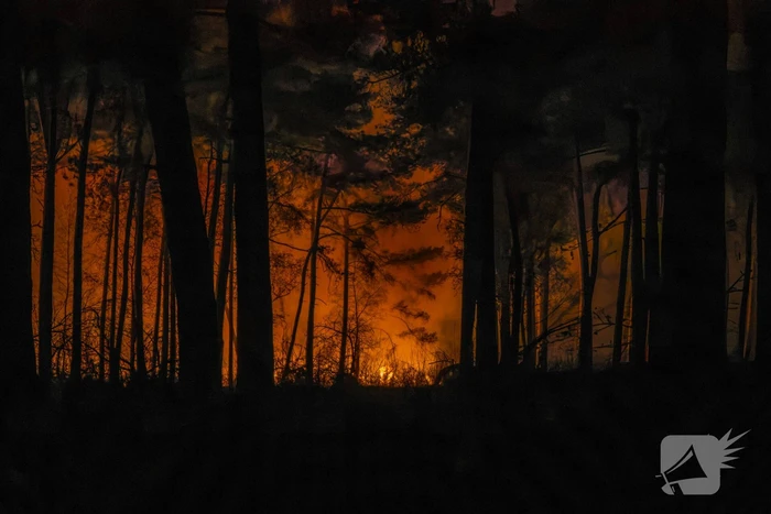 Verschillende hulpdiensten assisteren bij grote bosbrand