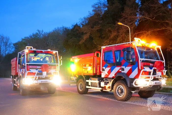 Brandweer groots ingezet voor brand in bos