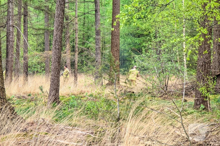 Bosbrand laait weer op