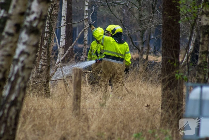 Brandweer blust wederom bosbrand