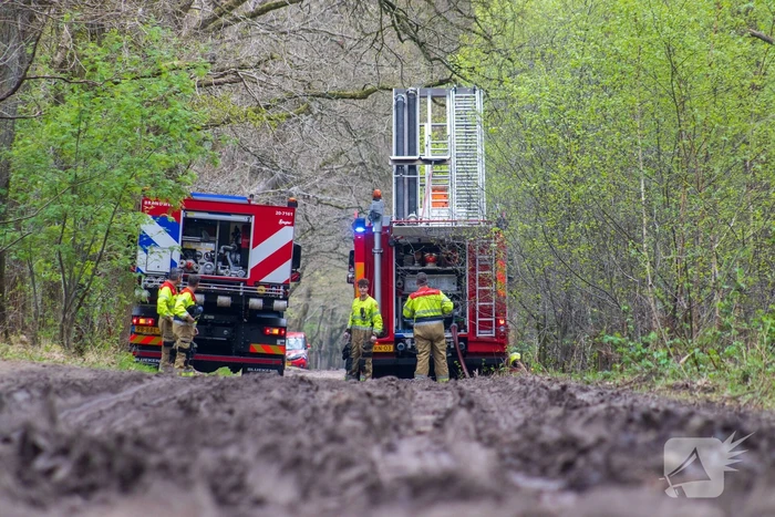 Brandweer blust wederom bosbrand