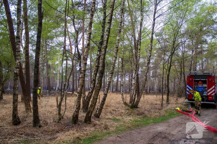 Brandweer blust wederom bosbrand