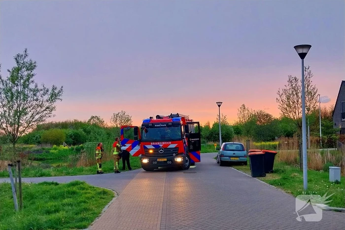 Bedrijfsbus belandt in vijver