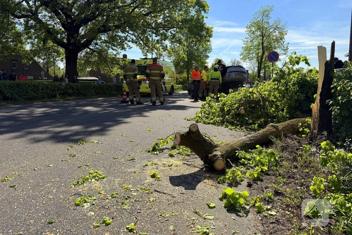 Automobilist ramt meerdere bomen en belandt op op zijn kop
