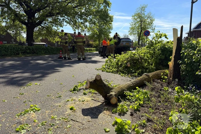 Automobilist ramt meerdere bomen en belandt op op zijn kop