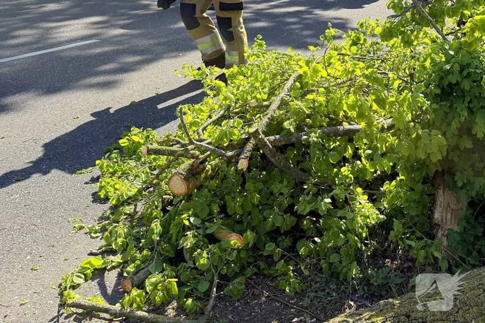 Automobilist ramt meerdere bomen en belandt op op zijn kop
