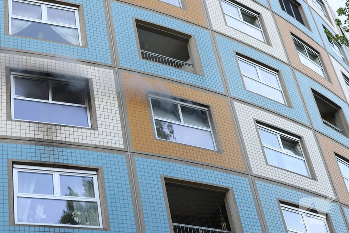 Twee gewonden en dode kat en hond bij brand in flatwoning