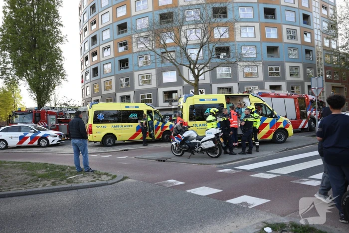 Twee gewonden en dode kat en hond bij brand in flatwoning