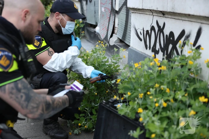 Politie pakt verdachte na schietpartij
