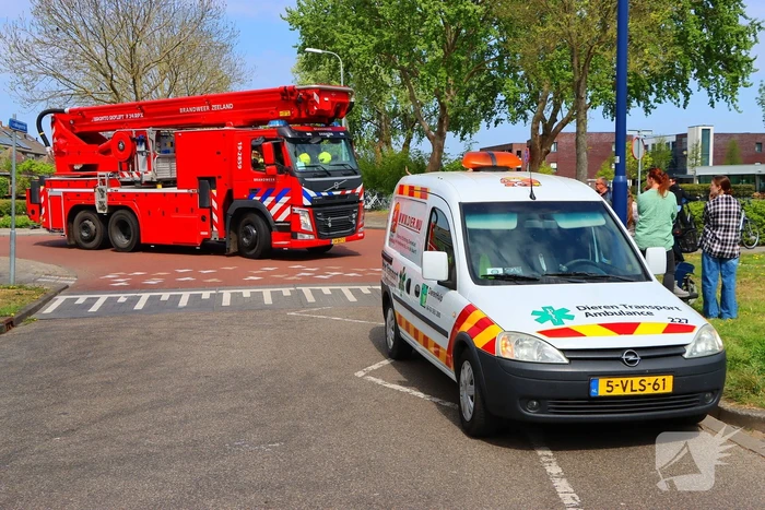 Brandweer ingezet voor kat in de boom