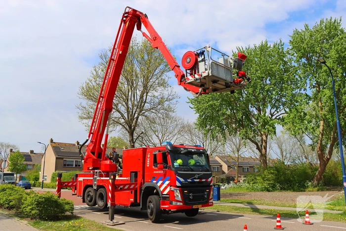 Brandweer ingezet voor kat in de boom