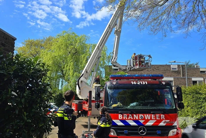 Brand in schoorsteen snel onder controle