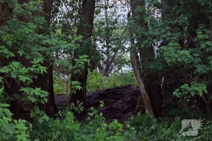 Brandweer blust brand in park