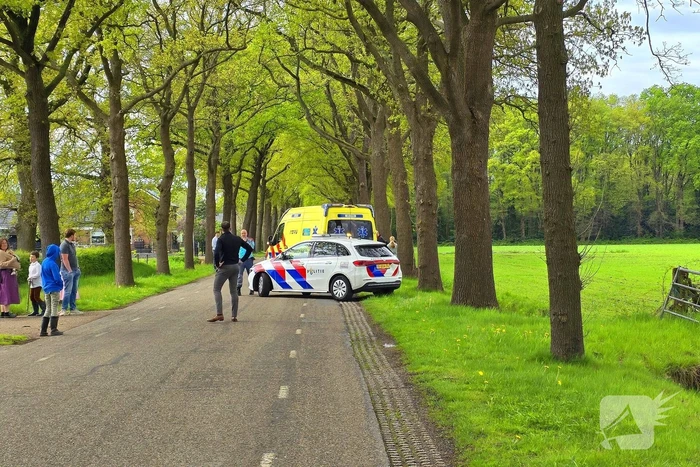 Automobilist knalt op boom