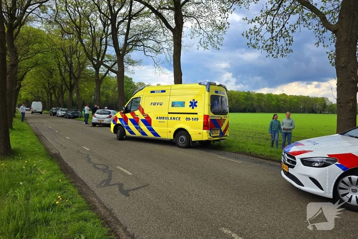 Automobilist knalt op boom