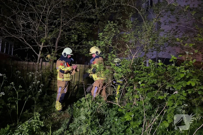 Vuurkorf zorgt voor brand in achtertuin