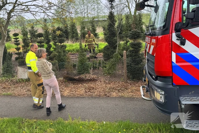 Buitenbrand snel onder controle