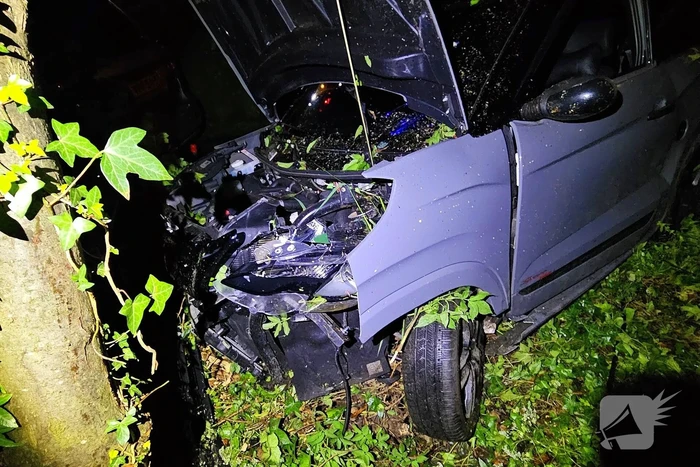 Bestuurder verliest controle over voertuig