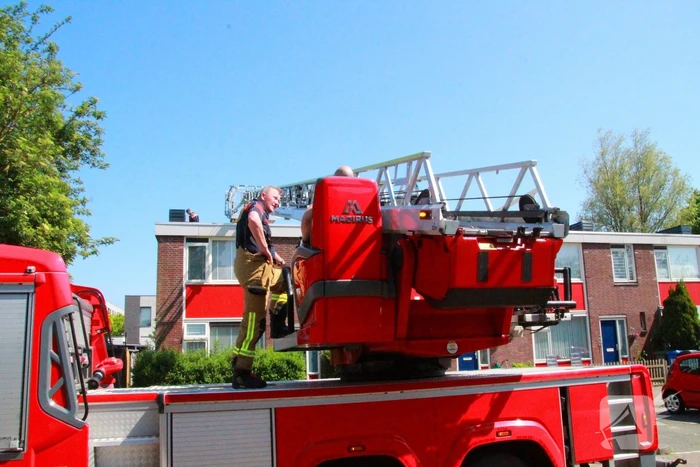 Brandweer redt kauw uit schoorsteen