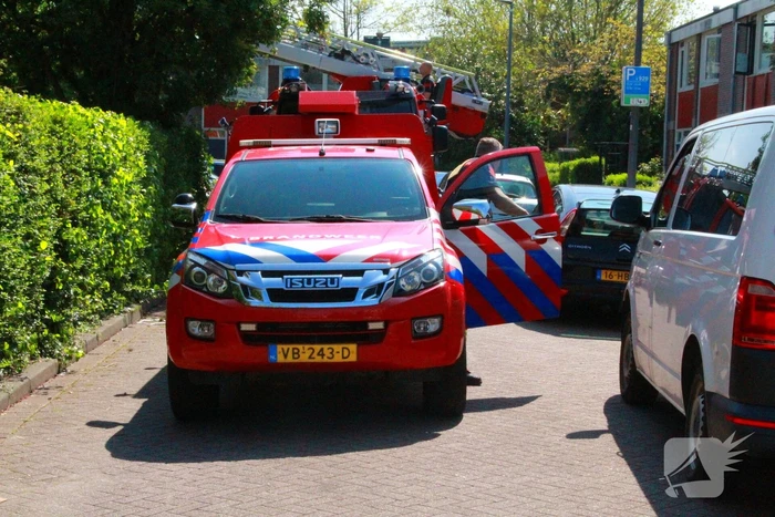 Brandweer redt kauw uit schoorsteen