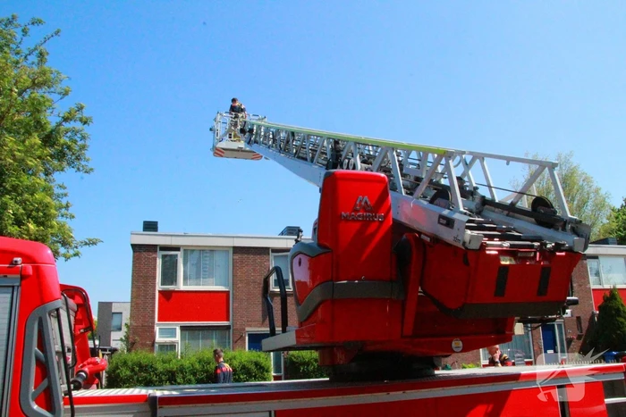 Brandweer redt kauw uit schoorsteen