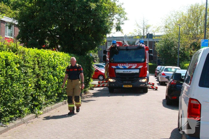 Brandweer redt kauw uit schoorsteen