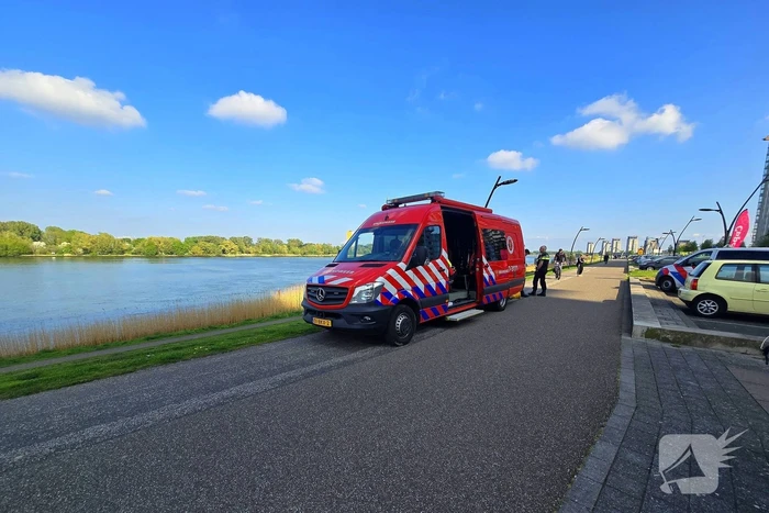 nieuws hongerlandsedijk spijkenisse