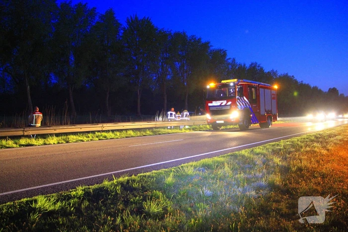 Zoektocht door brandweer naar ree in vaart