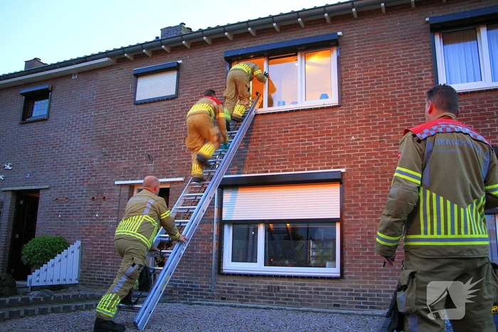 nieuws van halenstraat weert