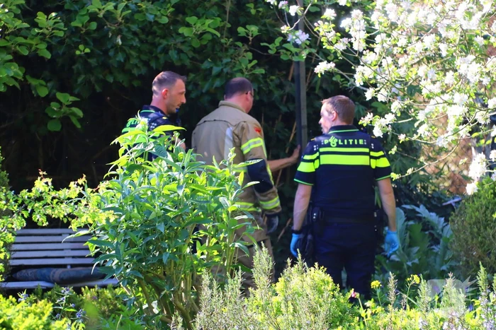 ongeval frederikslaan hillegom