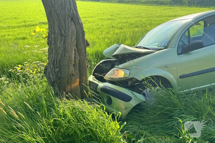 Bestuurder gewond bij botsing tegen boom