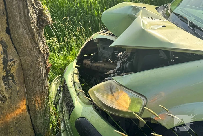 Bestuurder gewond bij botsing tegen boom