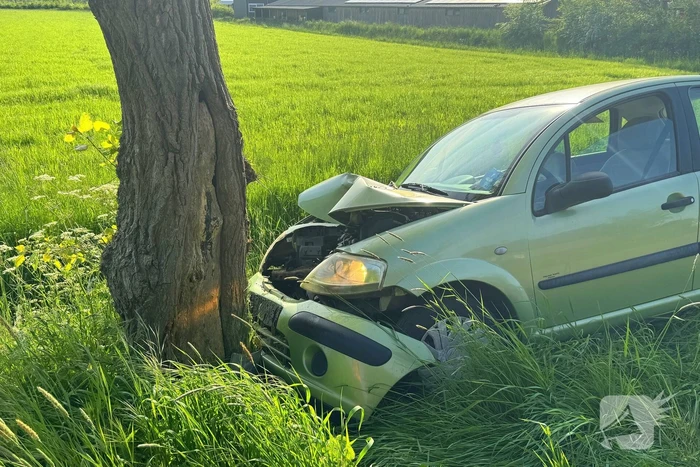 Bestuurder gewond bij botsing tegen boom