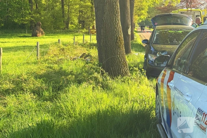 Bestuurder crossmotor botst tegen boom en overlijd